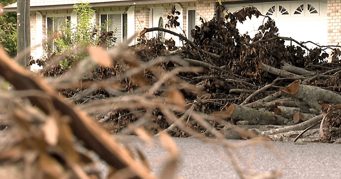 Tree-Debris-Pick-Up-and-Removal-Services
