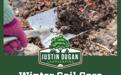 How to Test and Improve Your Soil During Winter for a Thriving Spring