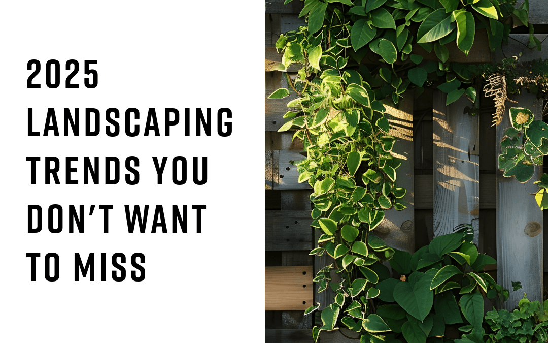 2025 Trends in Landscaping