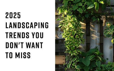 2025 Trends in Landscaping